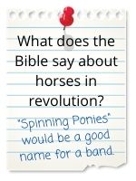 'The Spinning Ponies' would be a good band name.