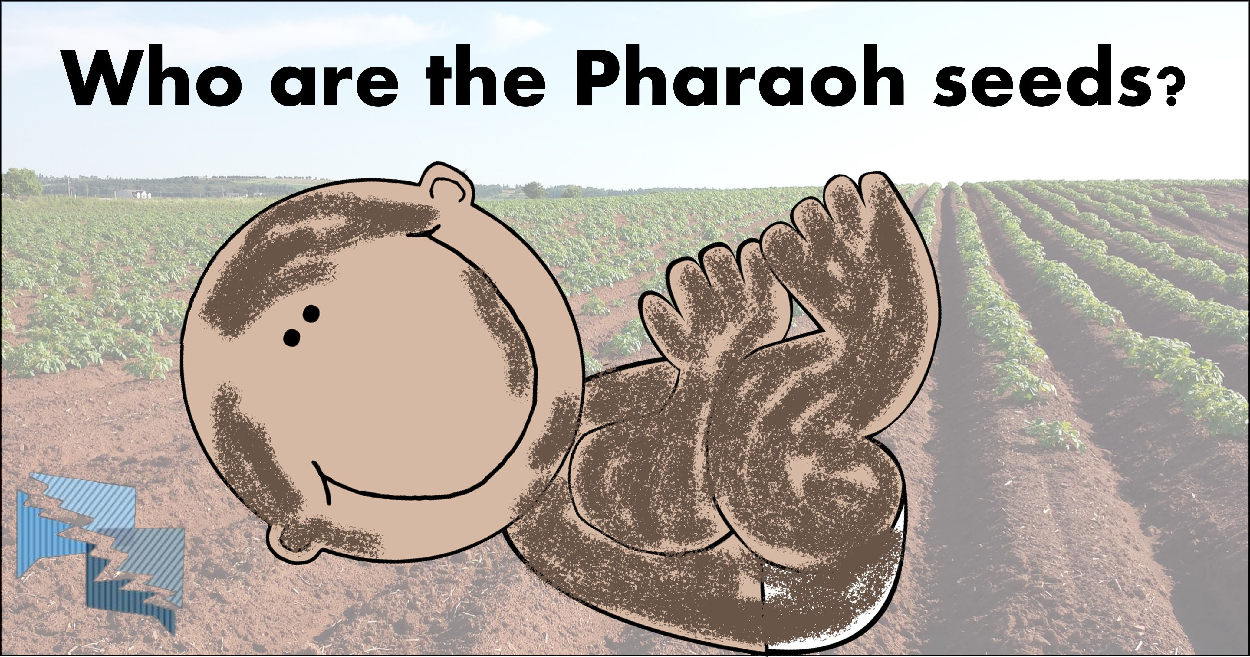 Who were the Pharaoh seeds?